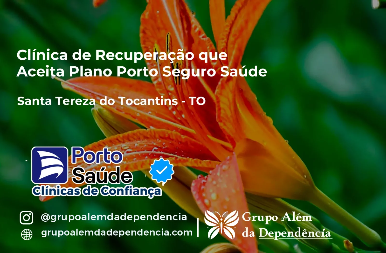 Clínica de Recuperação que Aceita Porto Seguro Saúde em Santa Tereza do Tocantins - TO