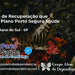 Clínica de Recuperação que Aceita Porto Seguro Saúde em São Caetano do Sul - SP