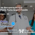 Clínica de Recuperação que Aceita Porto Seguro Saúde em São Domingos - SC
