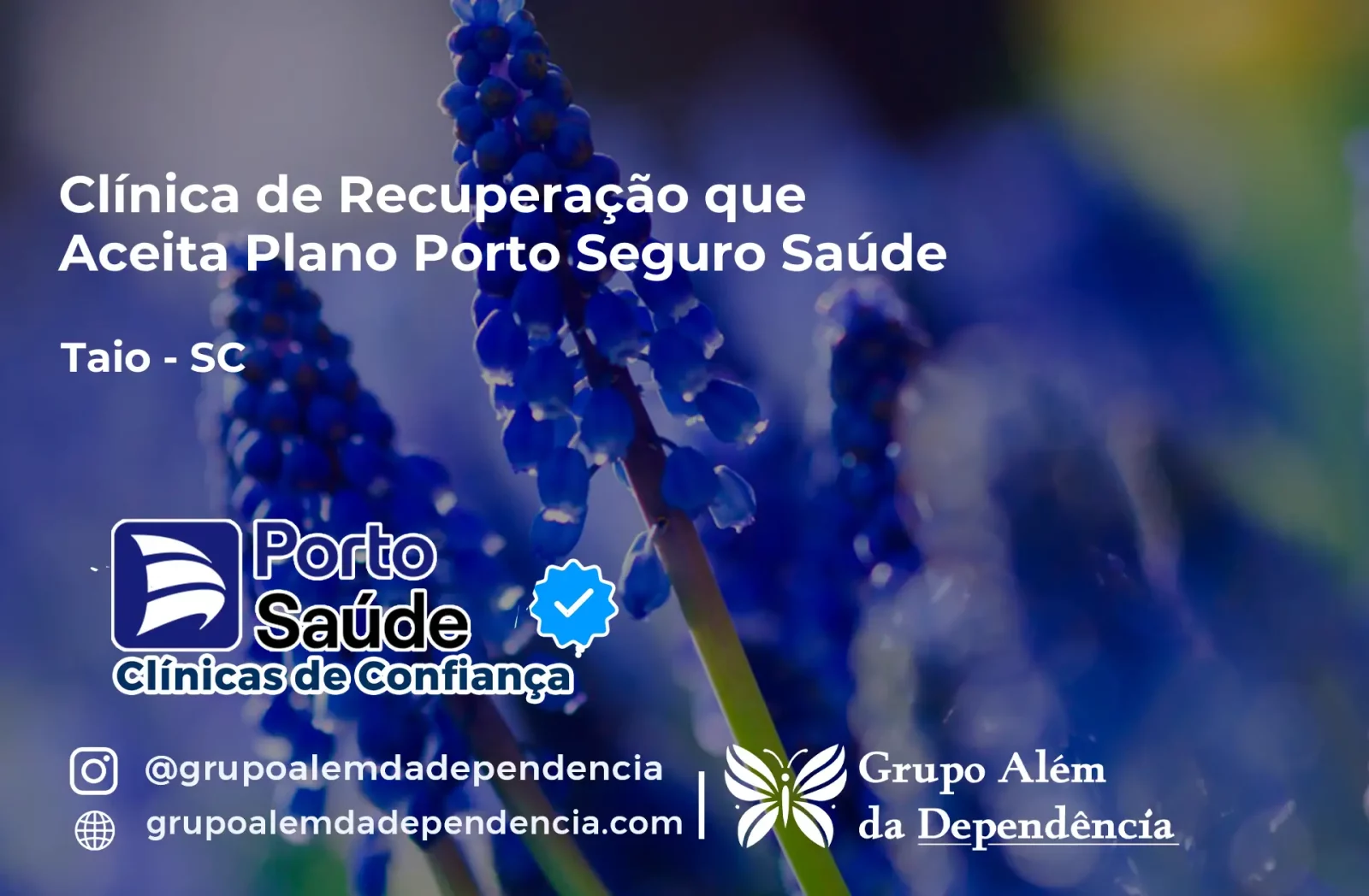 Clínica de Recuperação que Aceita Porto Seguro Saúde em Taió - SC