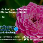 Clínica de Recuperação que Aceita Prevent Senior em Arabutã - SC