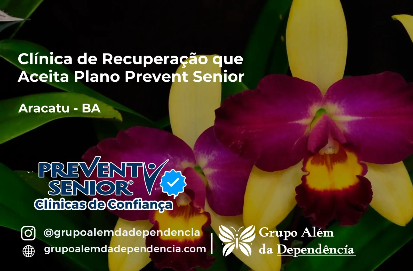 Clínica de Recuperação que Aceita Prevent Senior em Aracatu - BA