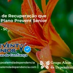 Clínica de Recuperação que Aceita Prevent Senior em Luzerna - SC