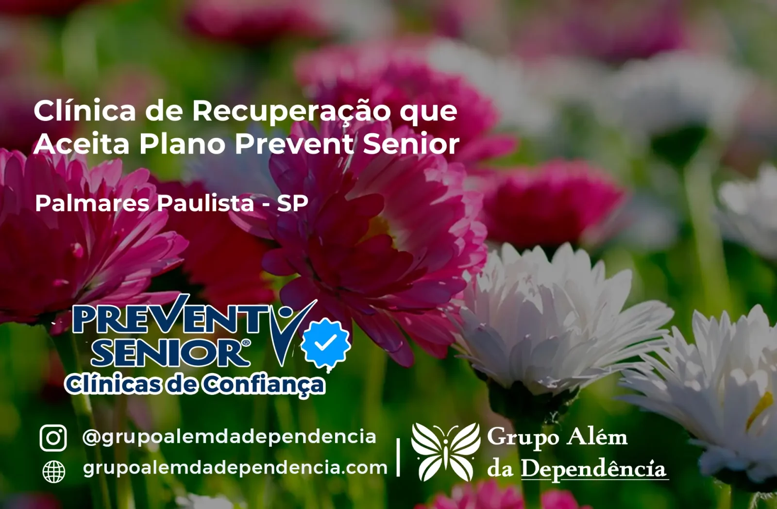 Clínica de Recuperação que Aceita Prevent Senior em Palmares Paulista - SP
