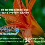 Clínica de Recuperação que Aceita Prevent Senior em Piên - PR