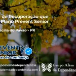Clínica de Recuperação que Aceita Prevent Senior em Santa Cecília do Pavão - PR
