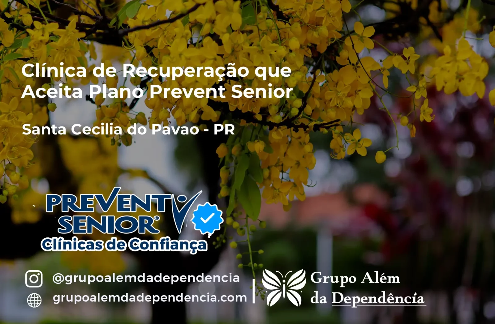 Clínica de Recuperação que Aceita Prevent Senior em Santa Cecília do Pavão - PR