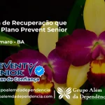 Clínica de Recuperação que Aceita Prevent Senior em Santo Amaro - BA
