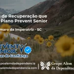Clínica de Recuperação que Aceita Prevent Senior em Santo Amaro da Imperatriz - SC
