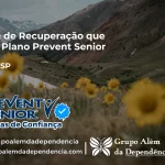 Clínica de Recuperação que Aceita Prevent Senior em Uchoa - SP