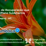 Clínica de Recuperação que Aceita SulAmérica em Alto Paraguai -MT