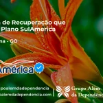 Clínica de Recuperação que Aceita SulAmérica em Amaralina -GO