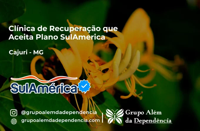 Clínica de Recuperação que Aceita SulAmérica em Cajuri -MG