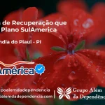 Clínica de Recuperação que Aceita SulAmérica em Cristalândia do Piauí -PI