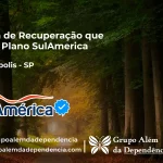 Clínica de Recuperação que Aceita SulAmérica em Dolcinópolis -SP