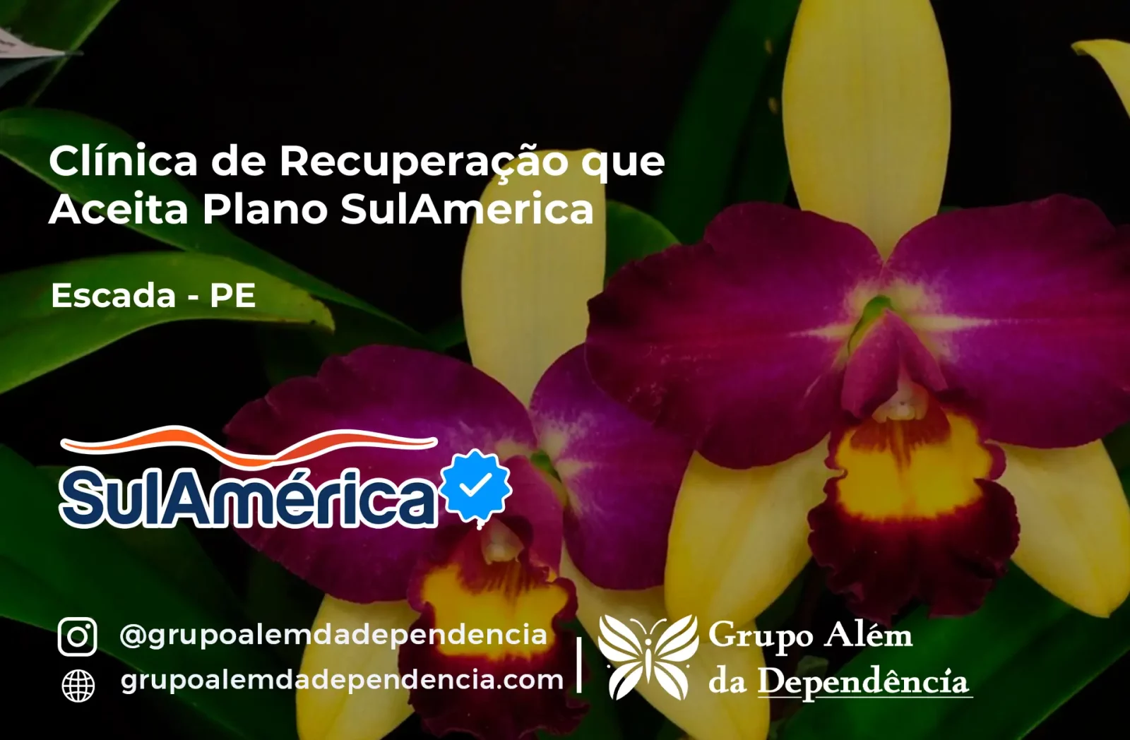 Clínica de Recuperação que Aceita SulAmérica em Escada -PE