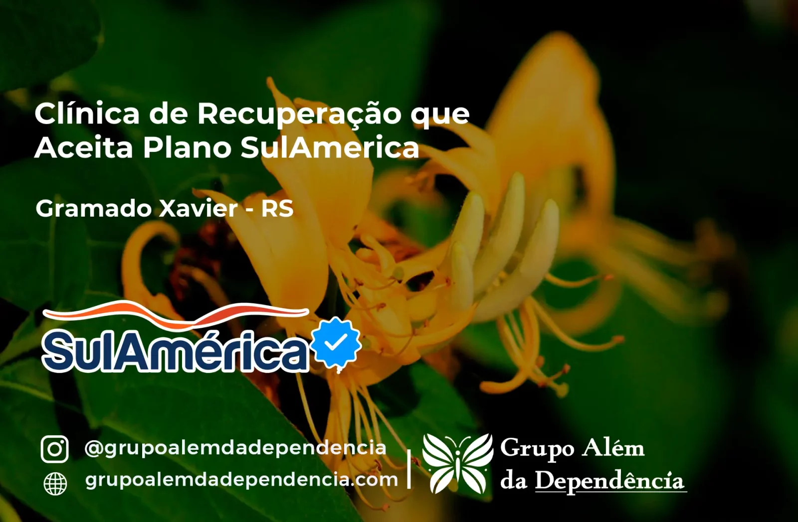 Clínica de Recuperação que Aceita SulAmérica em Gramado Xavier -RS