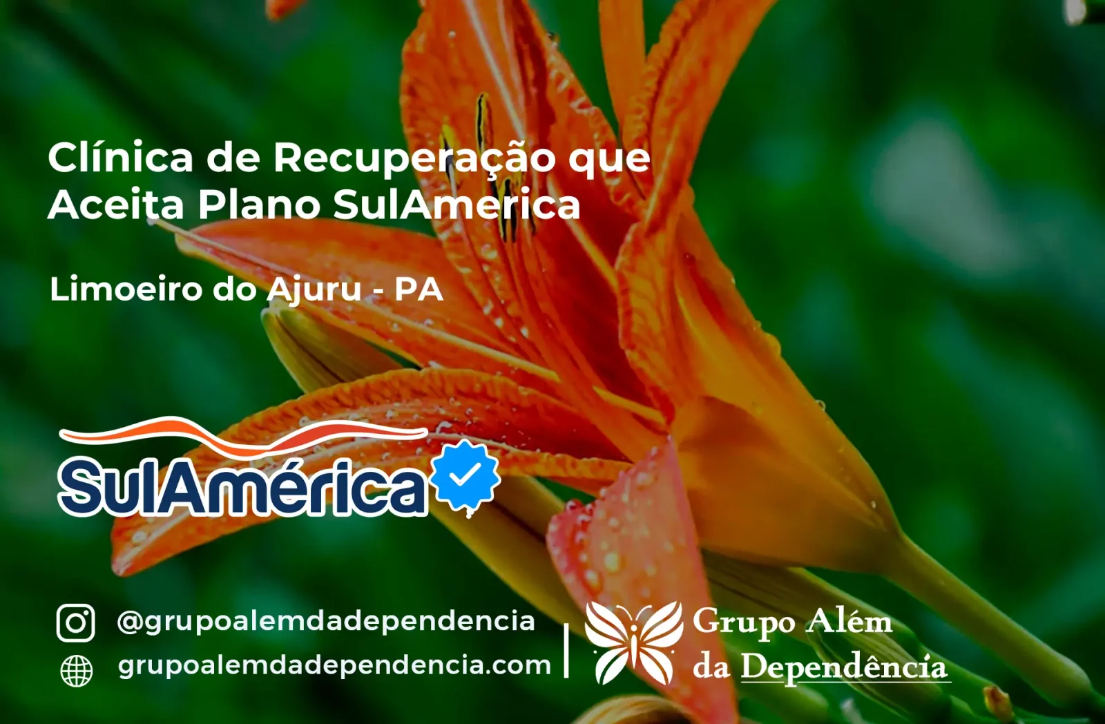 Clínica de Recuperação que Aceita SulAmérica em Limoeiro do Ajuru -PA