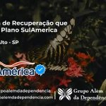 Clínica de Recuperação que Aceita SulAmérica em Monte Alto -SP