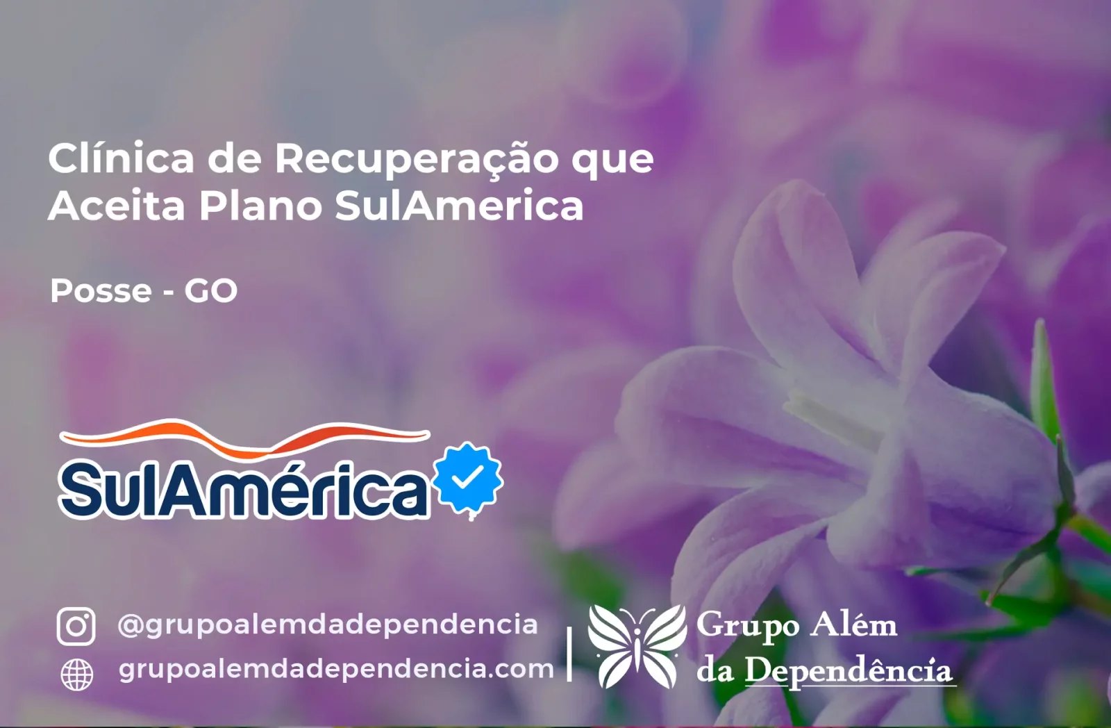 Clínica de Recuperação que Aceita SulAmérica em Posse -GO