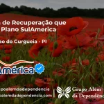 Clínica de Recuperação que Aceita SulAmérica em Redenção do Gurguéia -PI