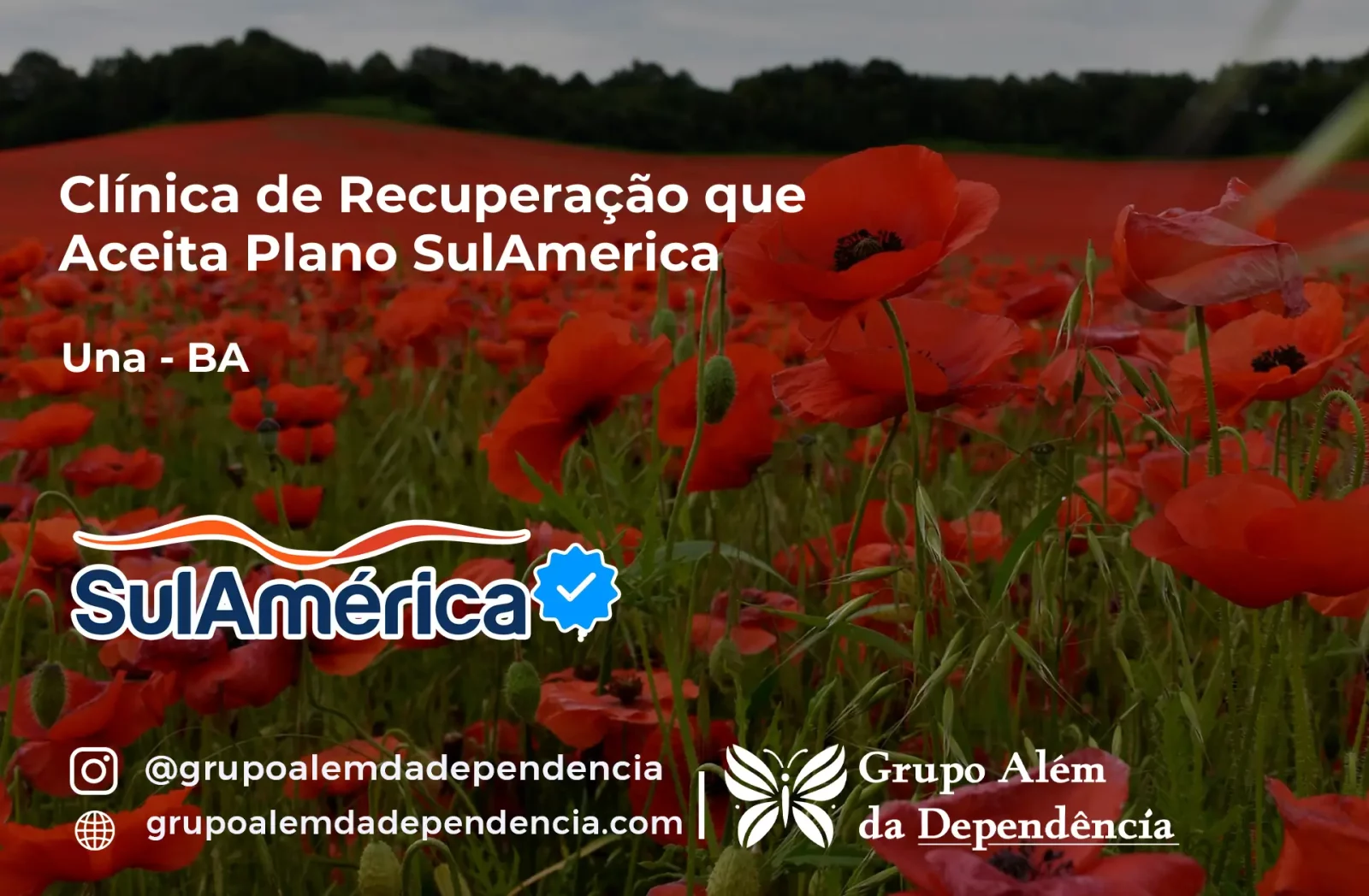 Clínica de Recuperação que Aceita SulAmérica em Una -BA