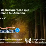 Clínica de Recuperação que Aceita SulAmérica em Urupema -SC