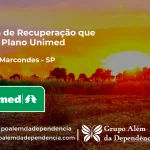 Clínica de Recuperação que Aceita Unimed em Alfredo Marcondes - SP