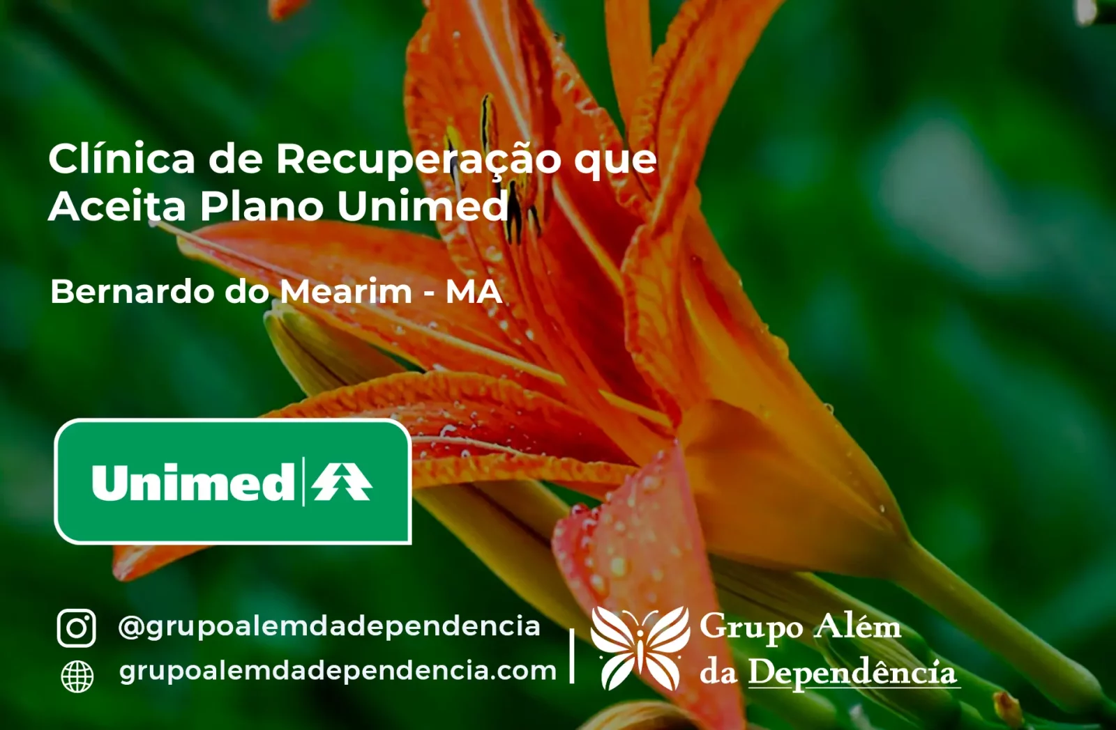 Clínica de Recuperação que Aceita Unimed em Bernardo do Mearim - MA