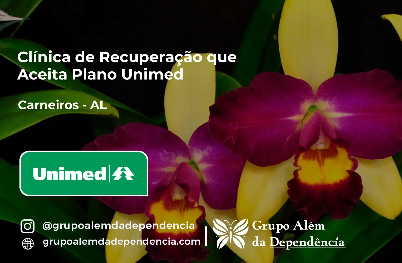 Clínica de Recuperação que Aceita Unimed em Carneiros - AL