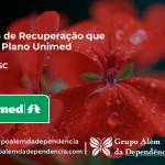 Clínica de Recuperação que Aceita Unimed em Ibiam - SC