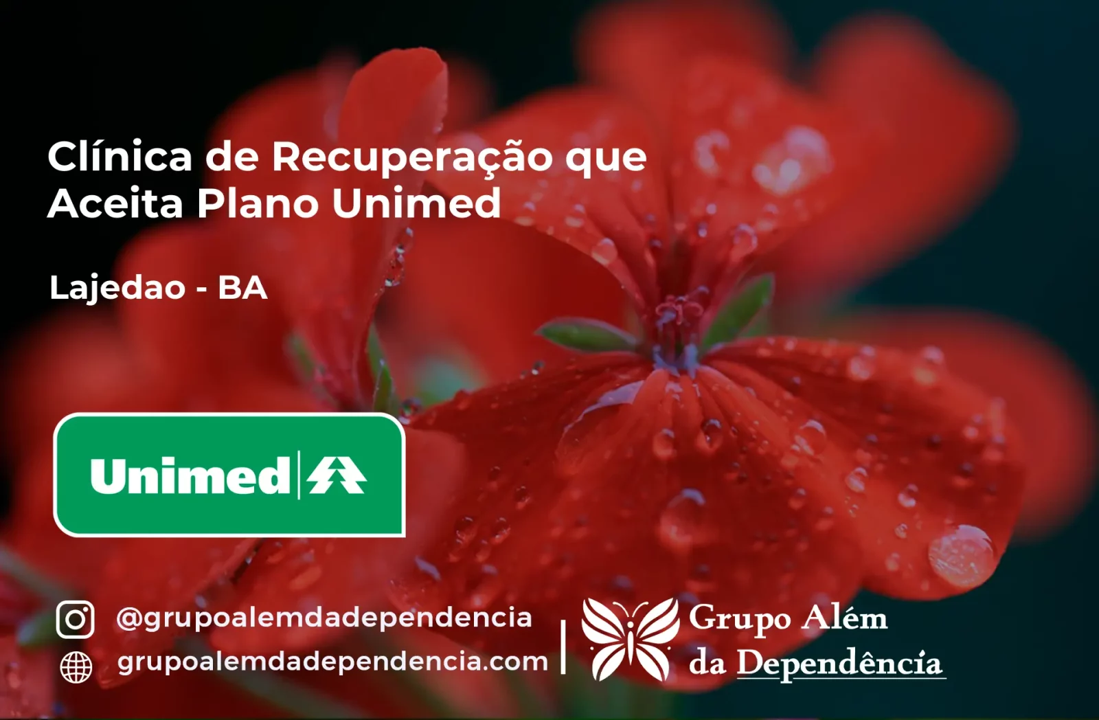 Clínica de Recuperação que Aceita Unimed em Lajedão - BA