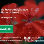 Clínica de Recuperação que Aceita Unimed em Minador do Negrão - AL