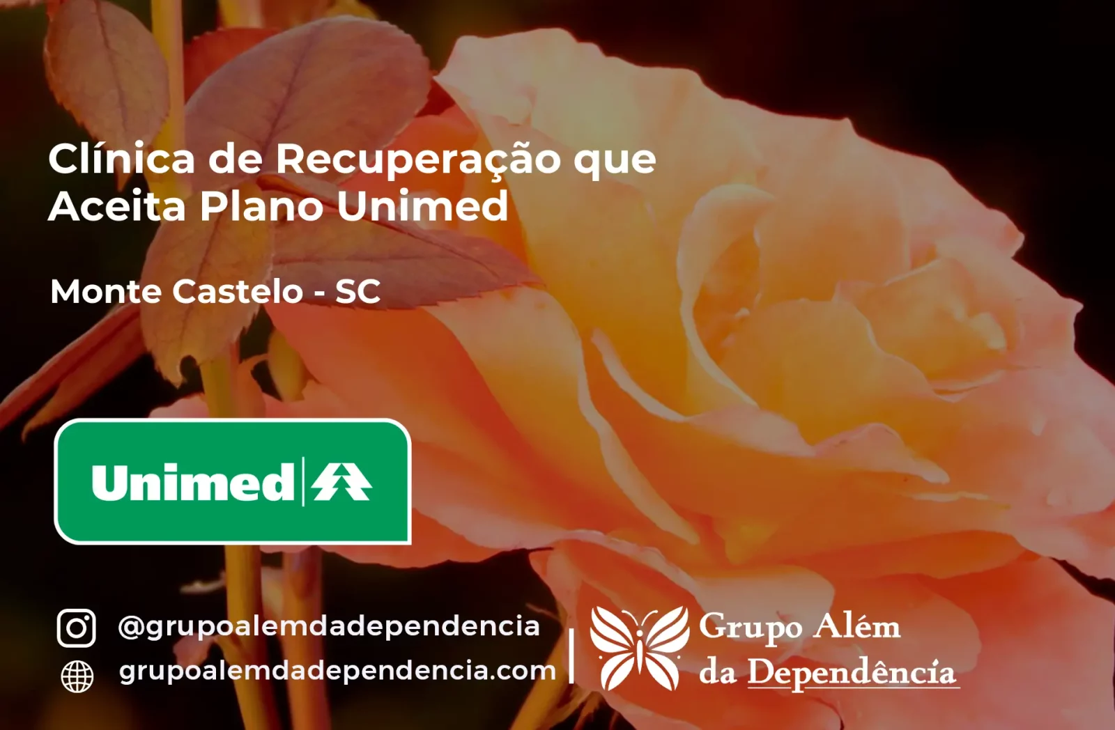 Clínica de Recuperação que Aceita Unimed em Monte Castelo - SC