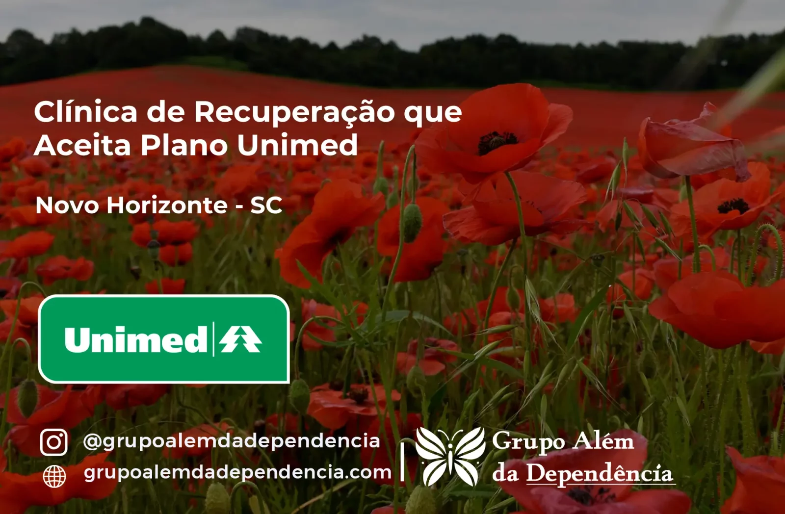 Clínica de Recuperação que Aceita Unimed em Novo Horizonte - SC