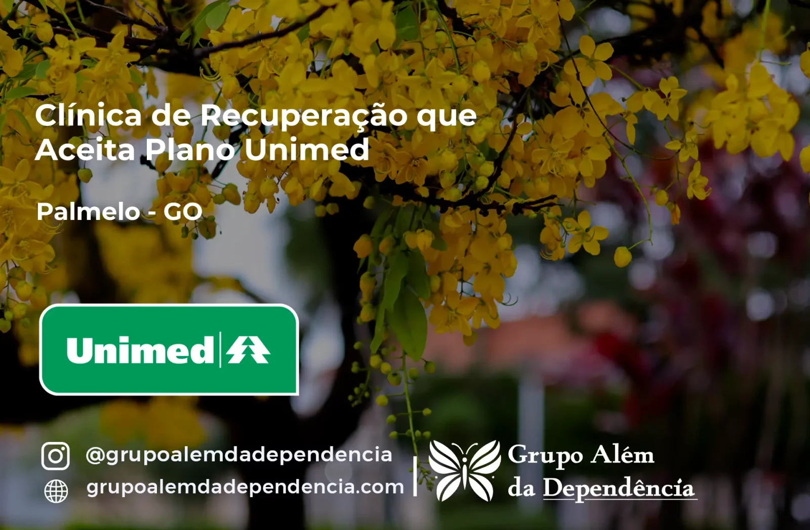 Clínica de Recuperação que Aceita Unimed em Palmelo - GO