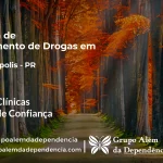 Tratamento de Drogas em Adrianópolis - PR | Clínica de Recuperação