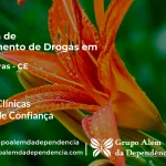 Tratamento de Drogas em Alcântaras - CE | Clínica de Recuperação