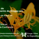 Tratamento de Drogas em Alegrete do Piauí - PI | Clínica de Recuperação