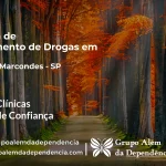 Tratamento de Drogas em Alfredo Marcondes - SP | Clínica de Recuperação