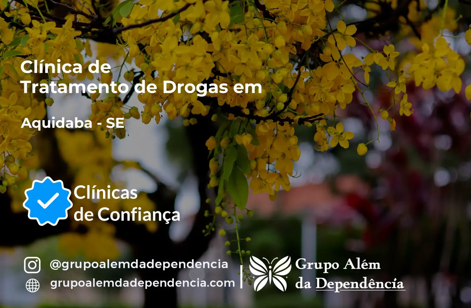 Tratamento de Drogas em Aquidabã - SE | Clínica de Recuperação
