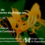Tratamento de Drogas em Araquari - SC | Clínica de Recuperação