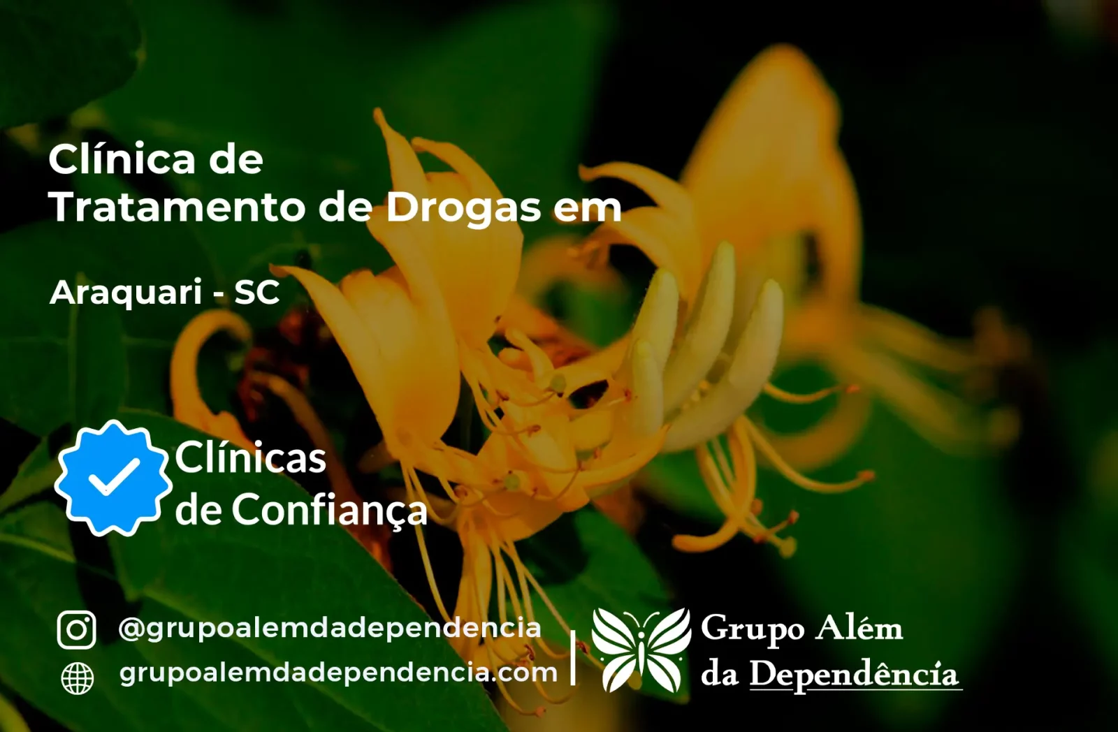 Tratamento de Drogas em Araquari - SC | Clínica de Recuperação