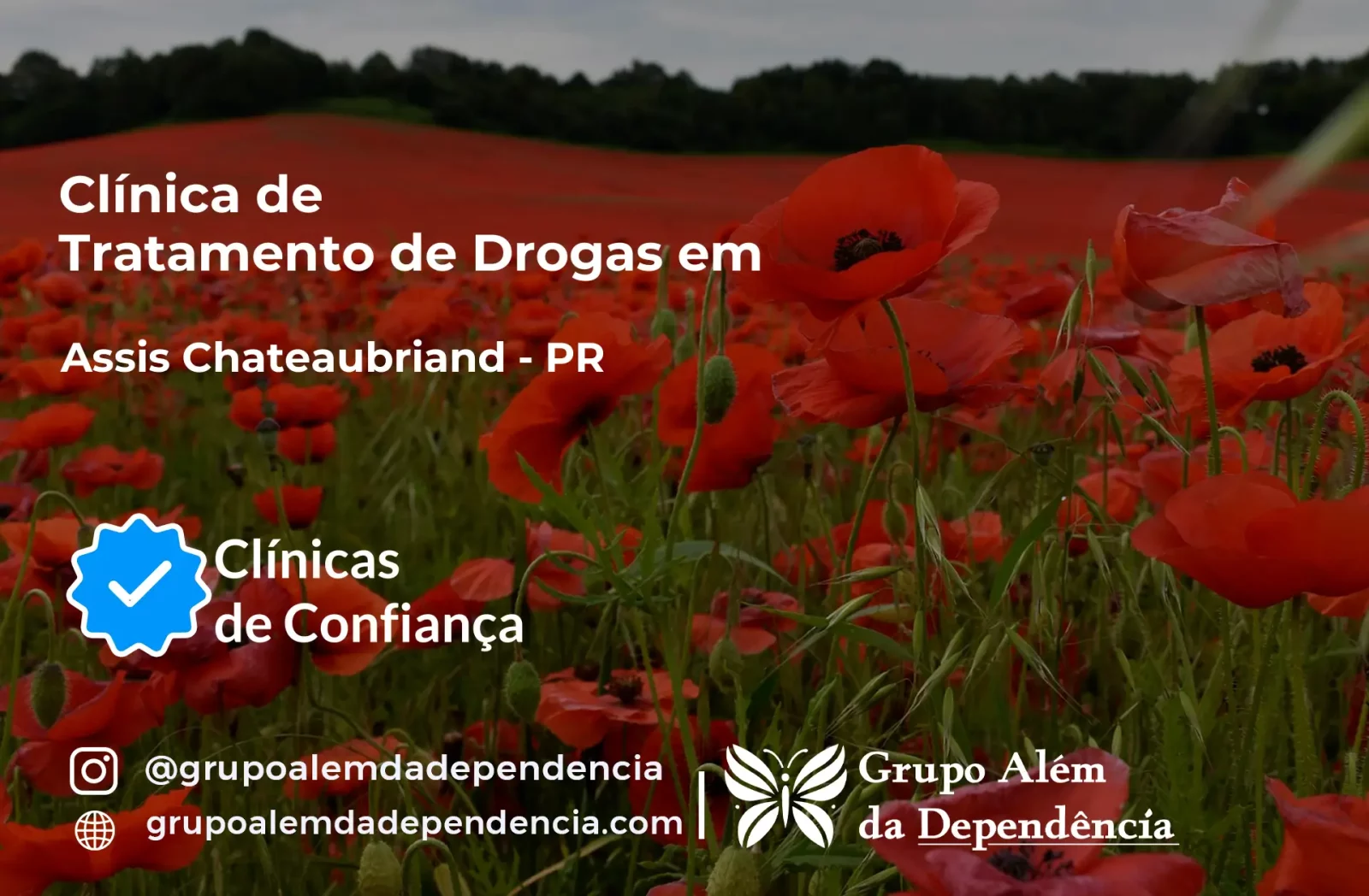Tratamento de Drogas em Assis Chateaubriand - PR | Clínica de Recuperação