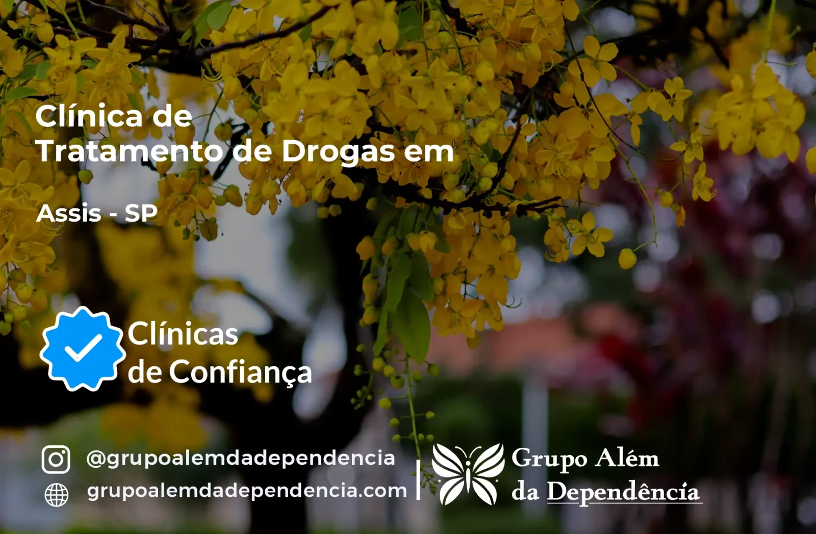 Tratamento de Drogas em Assis - SP | Clínica de Recuperação