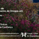 Tratamento de Drogas em Braga - RS | Clínica de Recuperação