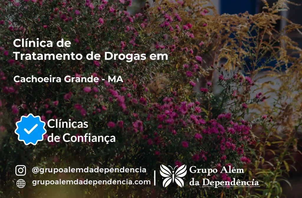 Tratamento de Drogas em Cachoeira Grande - MA 1 Tratamento de Drogas em Cachoeira Grande - MA | Clínica de Recuperação