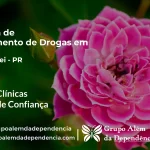 Tratamento de Drogas em Carambeí - PR | Clínica de Recuperação
