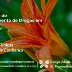 Tratamento de Drogas em Cotia - SP | Clínica de Recuperação