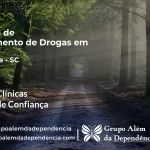 Tratamento de Drogas em Criciúma - SC | Clínica de Recuperação